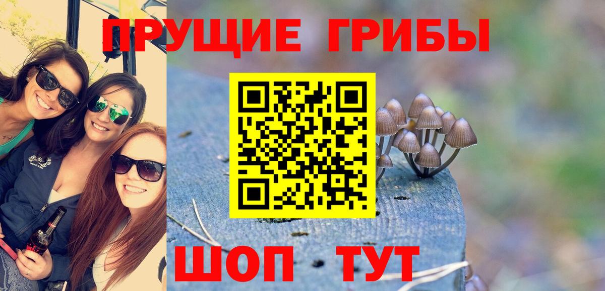 Галлюциногенные грибы Magic Shrooms  Галлюциногенные грибы Psilocybe  Вход с VPN  Кемерово 